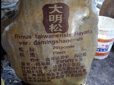 鹅卵石 景观石 门牌石